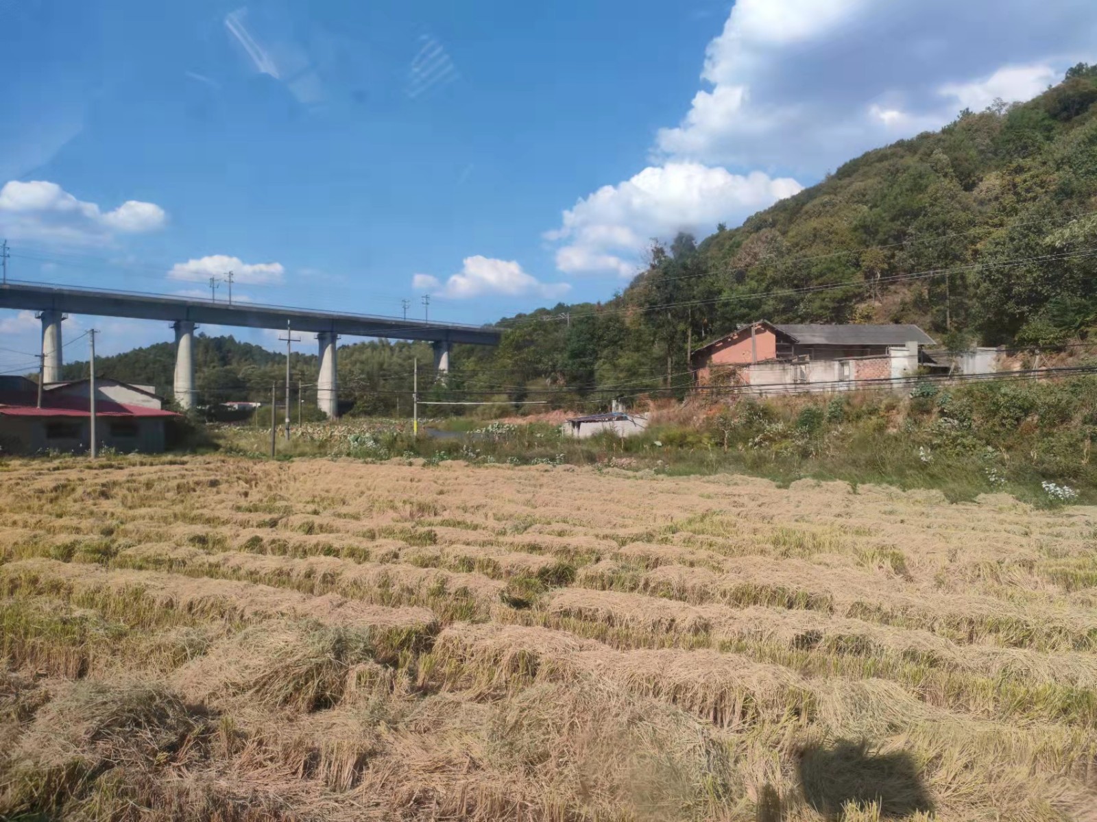 鹤岭镇：依法打击焚烧秸秆行为 敲响森林防火警钟