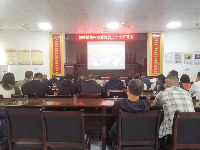 鹤岭镇学习讨论习近平同志在党的二十大上所作的报告