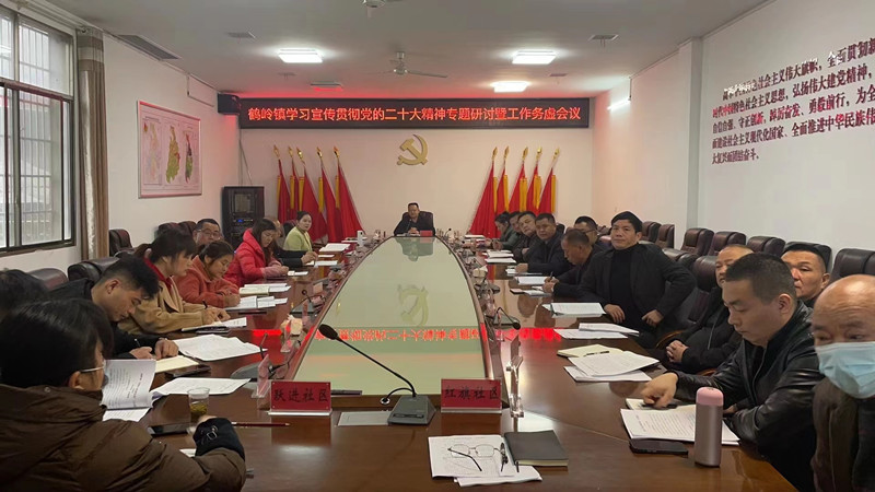 鹤岭镇召开学习宣传贯彻党的二十大精神专题研讨暨2023年工作务虚会议
