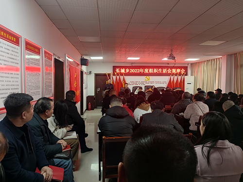 长城乡举行2022年度组织生活会观摩会