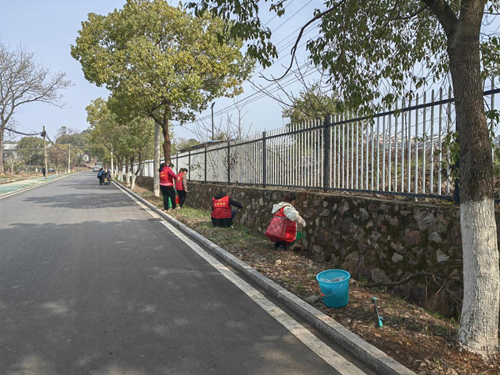 万楼街道：全民爱卫创卫，美化城居环境