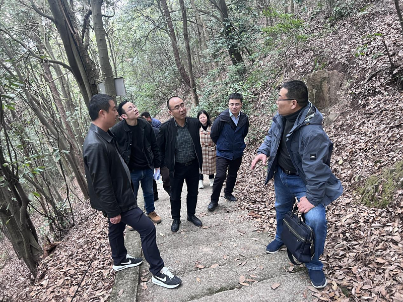 省林业局来鹤岭镇督查松材线虫病防治工作