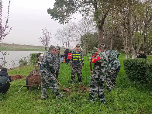 窑湾街道人武部组织民兵义务植树