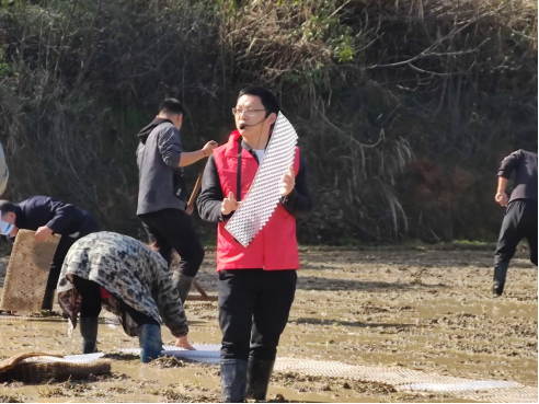 【奋进的春天】姜畲镇：早稻育秧进行时，科技活水流入田间地头