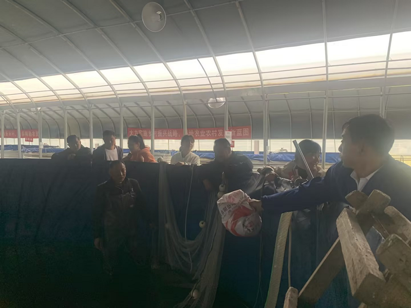 鹤岭镇：新“鱼经”，铺就产业振兴路
