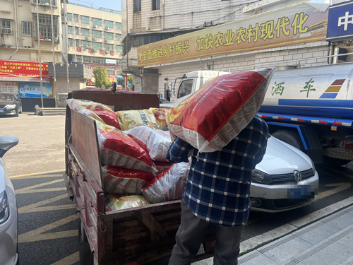 【奋进的春天】长城乡：优质稻种免费发，集中育秧劲头足