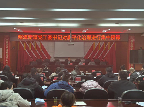 “敢”字当头！昭潭街道组织扁平化治理集中授课