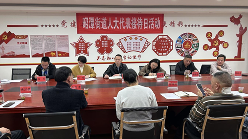 昭潭街道：全力拼经济 商圈在行动