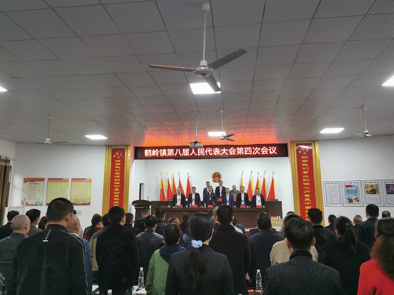 鹤岭镇召开第八届人民代表大会第四次会议