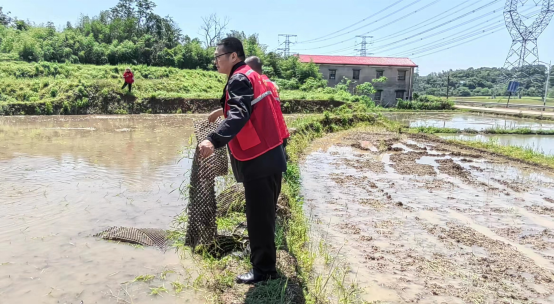 【奋进的春天】清泉村：田间地头办实事，助农插秧暖民心