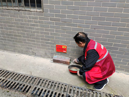 万楼街道开展春季病媒生物防制专项活动