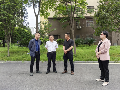 市领导到万楼街道督导文明创建工作