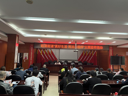 昭潭街道开展“美好生活·民法典相伴” 主题法治宣传活动