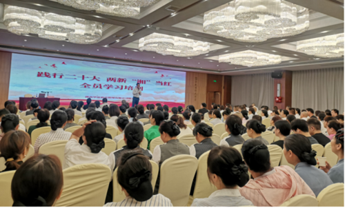 城正街街道两新华银党总支：践行二十大，两新“湘”当红