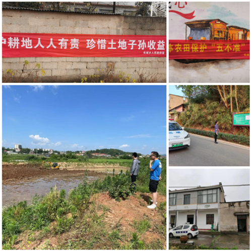 长城乡：严守耕地保护红线，筑牢粮食安全底线