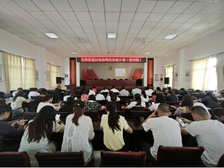 先锋街道：举办区块治理员养成计划（第四期）暨“青苗计划”干部业务培训班