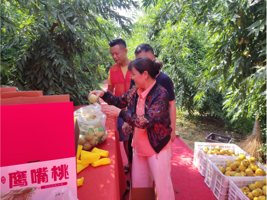 联映村：拓宽销售渠道，助农卖桃增收