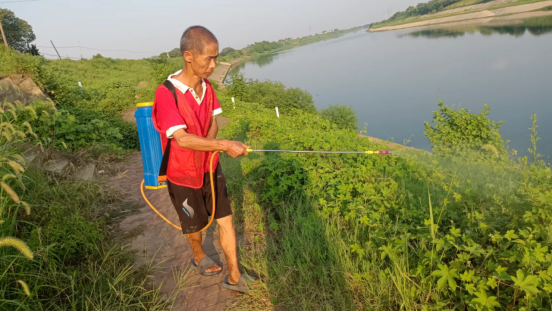 姜畲社区：开展“清理河岸杂草、杂树，打造良好河道环境”活动