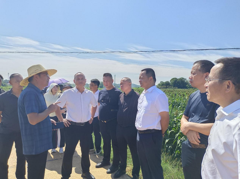 【干在雨湖】鹤岭镇赴湘潭县中路铺镇柳桥村考察学习