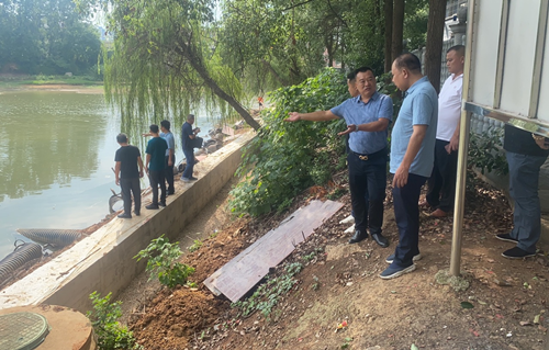 昭潭街道：政协委员解民忧，助力易家湖水质量