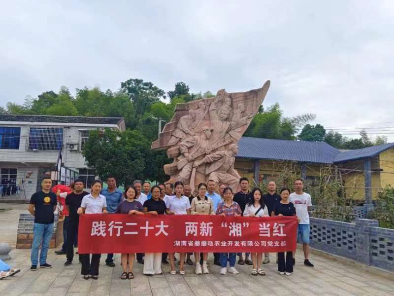 践行二十大，两新'湘'当红——蘑蘑哒、可口嘉、姜畲商会党支部联合开展主题党日活动