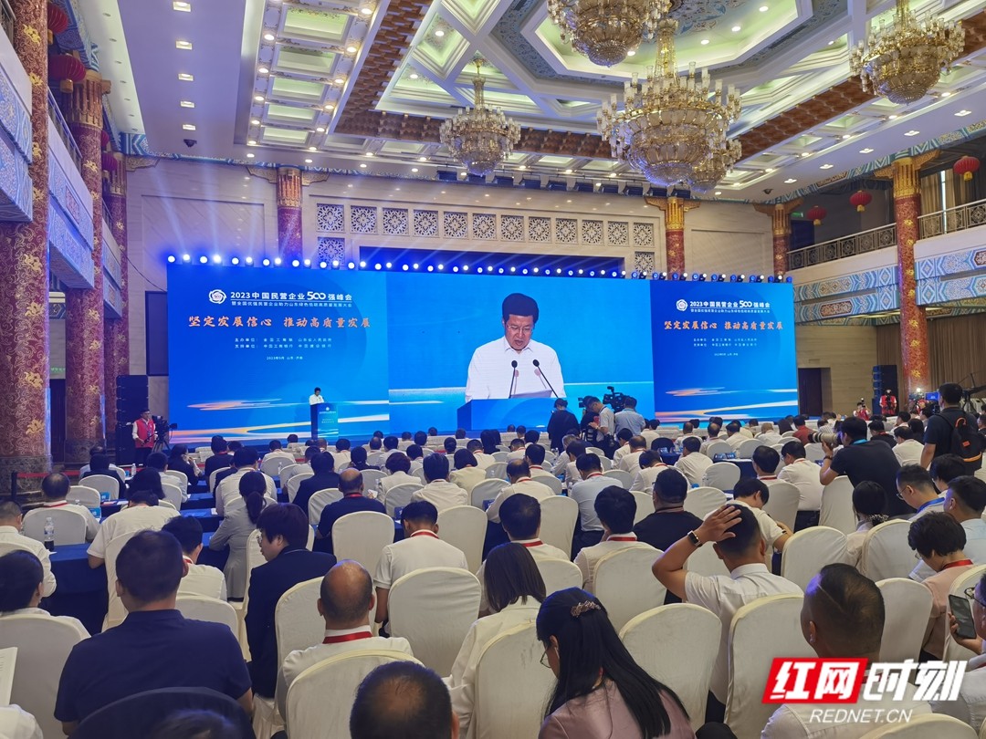 湖南裕能挺进中国民营企业500强