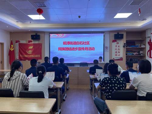 昭潭街道开展“民族团结进步宣传月”活动