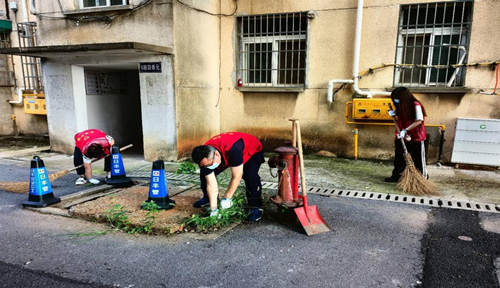 万楼街道：开展秋季草木秸秆清运“利剑行动”