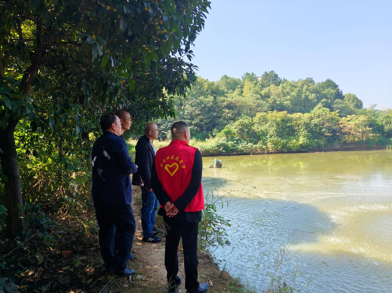 和平街道：森林防火正当时 林长巡林保平安