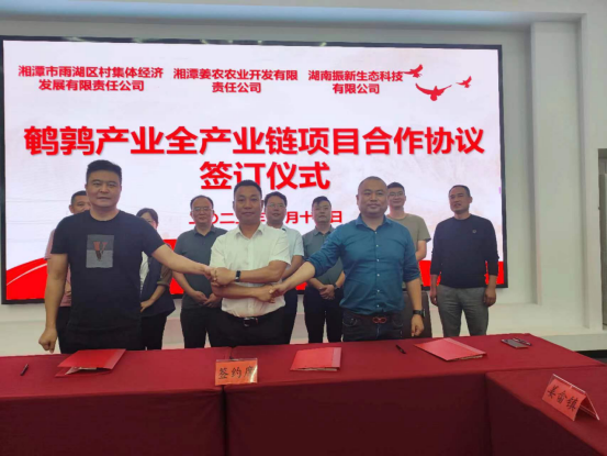 【干在雨湖】姜畲镇鹌鹑产业全产业链项目签约