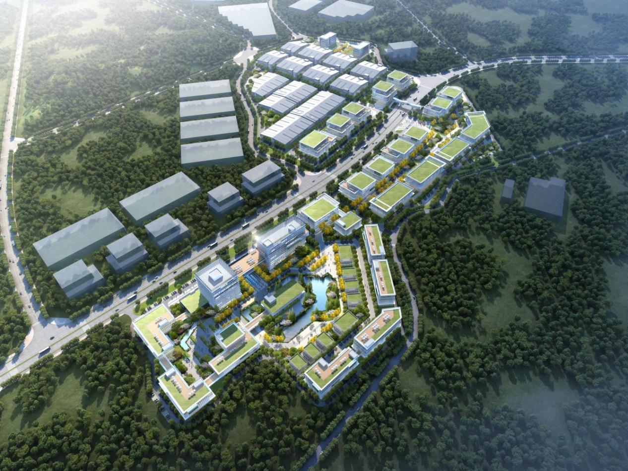 雨湖高新区参加中南大学首届新能源大会获得丰硕成果