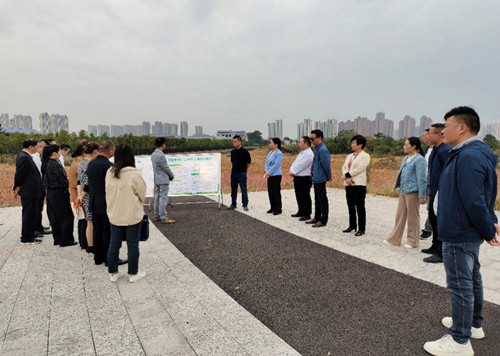 区领导到万楼街道开展“走找想促”活动：“三类人才”齐献策 民情恳谈话发展