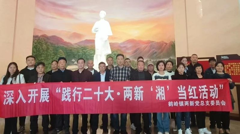 鹤岭镇开展“践行二十大·两新‘湘’当红”活动