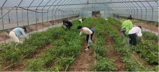 湘潭仁与社工：支部联学新范式，乡村振兴添活力