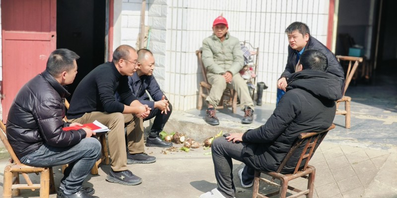 和平街道主要负责人实地调研石码村乡村振兴工作