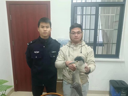 保护野生动物，姜畲镇在行动