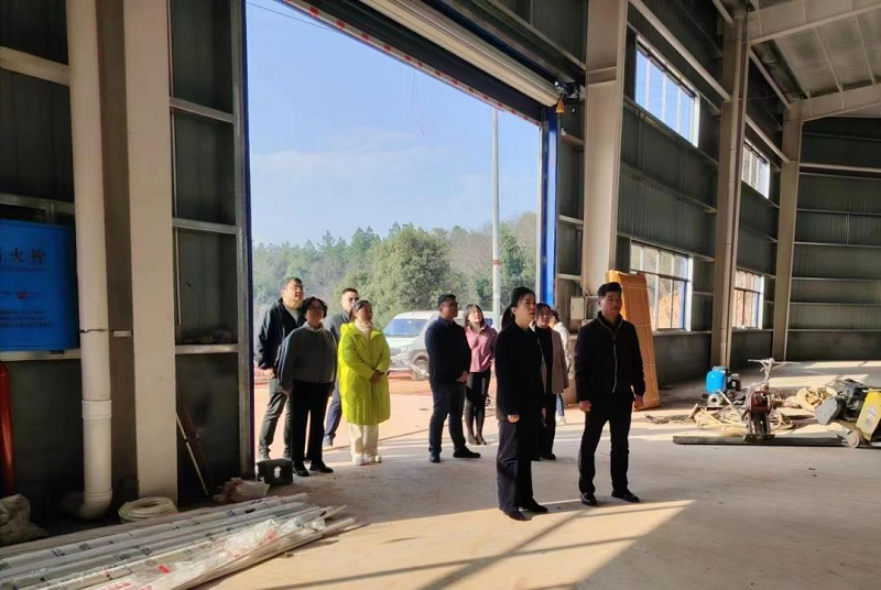 区领导深入晶鑫村召开乡村振兴现场办公会