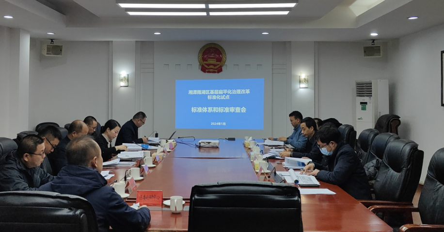 雨湖区基层扁平化治理标准体系及标准顺利通过专家评审