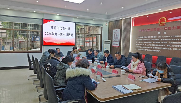 楠竹山镇：开展新年第一次楠竹山代表小组活动