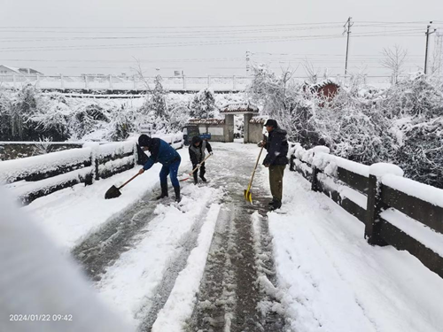 万楼街道：人大代表督安全，清雪除冰保出行
