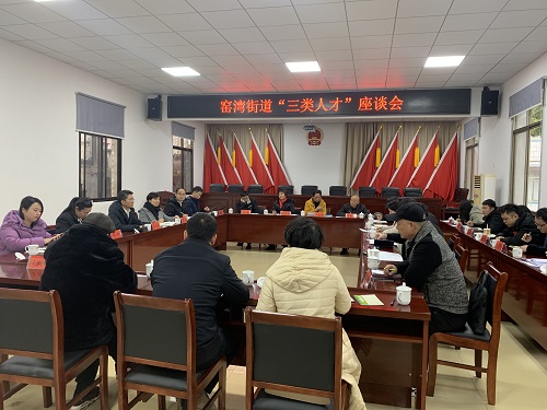 【干在雨湖】窑湾街道召开“三类人才”座谈会 汇聚“三类人才” 共绘发展蓝图