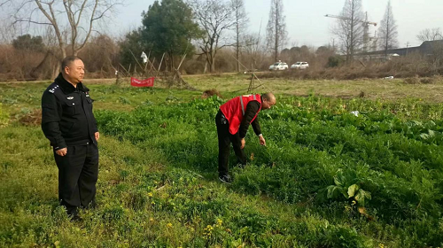 窑湾街道开展禁种铲毒踏查活动