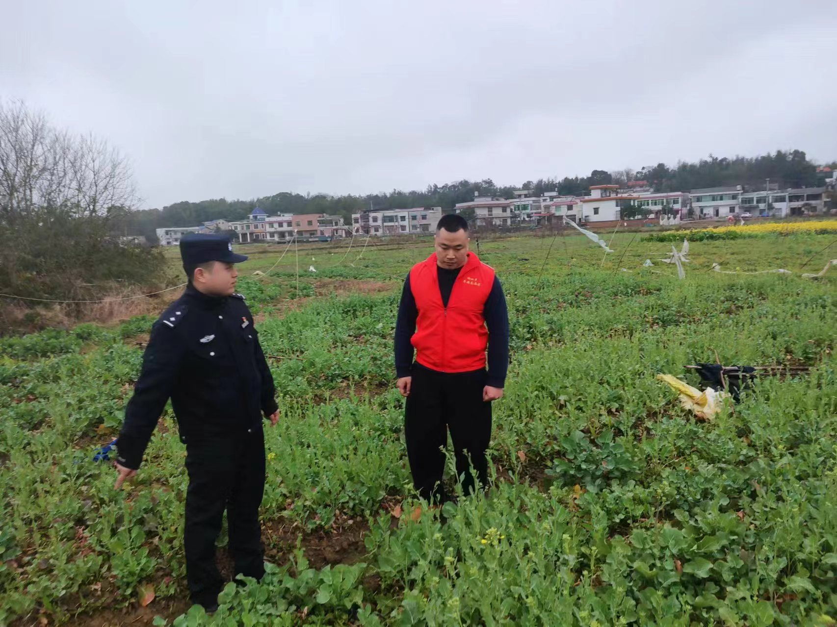 【平安雨湖】响水乡开展禁种铲毒踏查专项行动