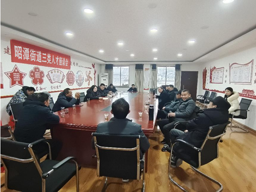 昭潭街道：三类人才齐聚座谈，共商市场发展新篇章