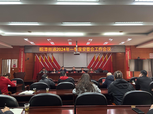 昭潭街道召开2024年一季度安委会全体会议