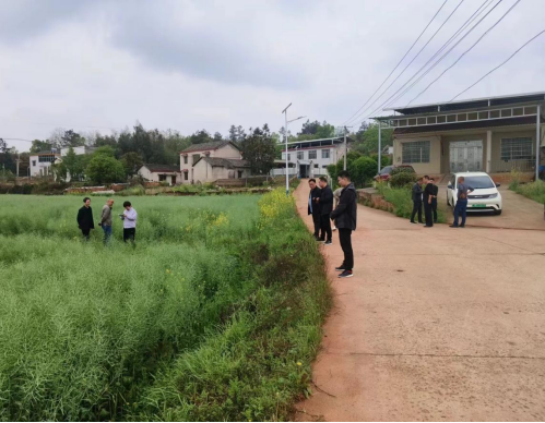 【乡村振兴】市、区农业和统计部门来姜畲镇调研油菜种植情况