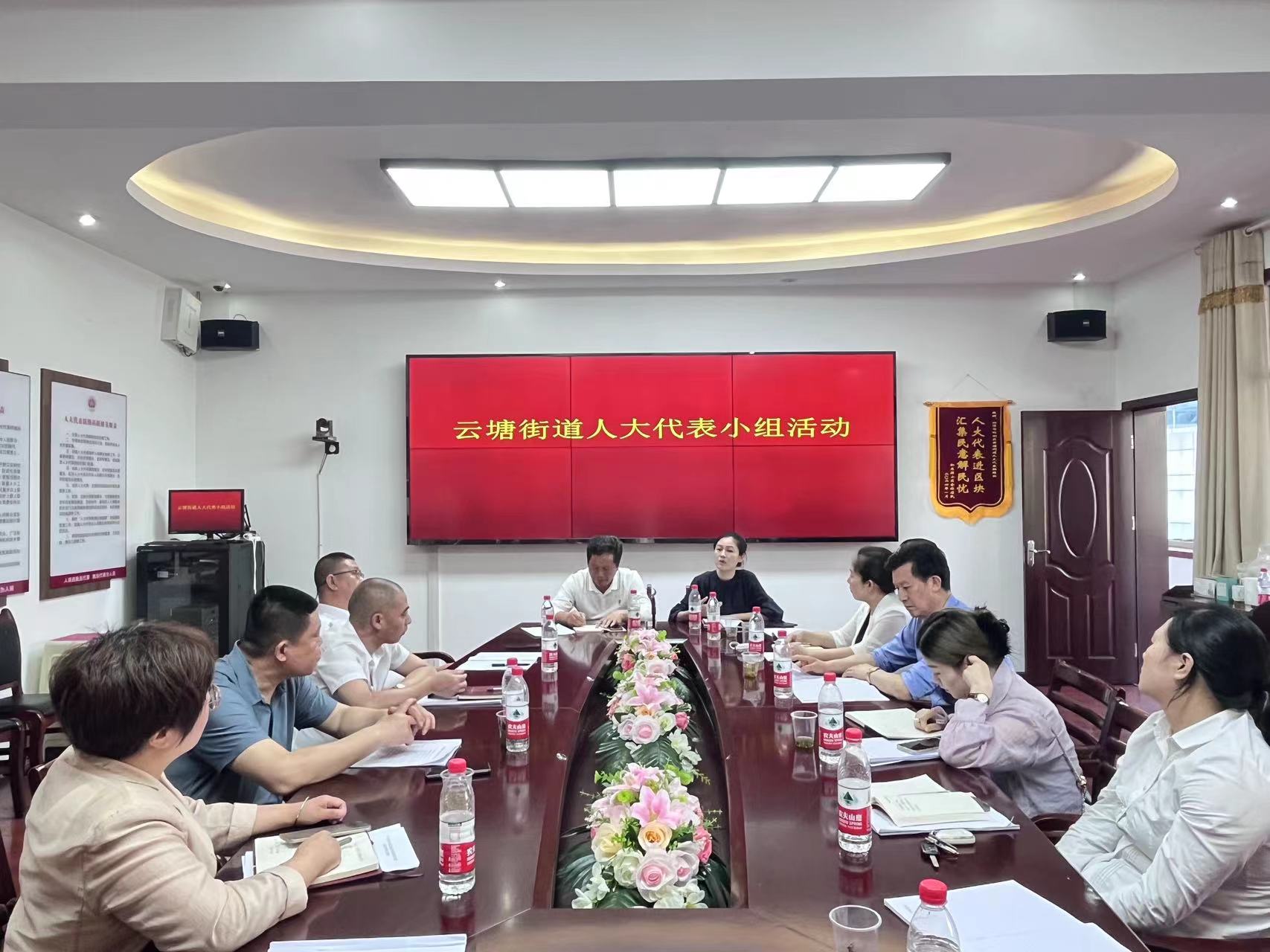 【八大行动】云塘街道人大代表小组开展集中学习调研活动