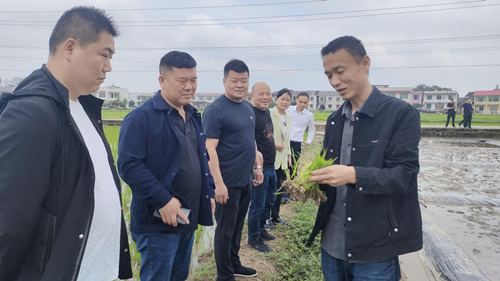 【乡村振兴】长城乡人大主席团：当好“四员”把履职担当写在“春天里”