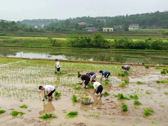 【八大行动】联映村：打造“ 绿色生态+红色文化”，推动“农文旅”融合发展
