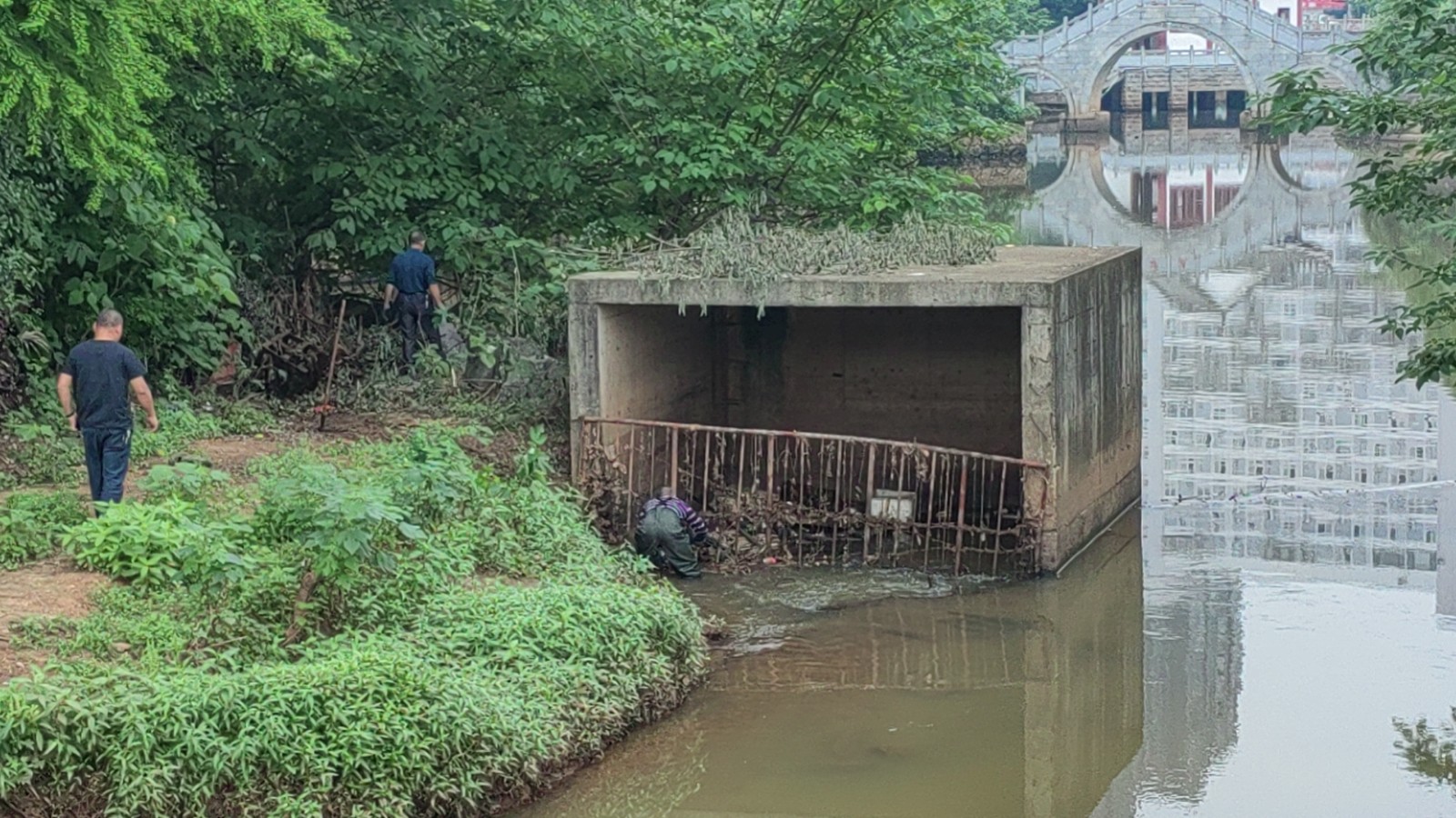和平街道：“强治理，守碧水”生态环境大行动